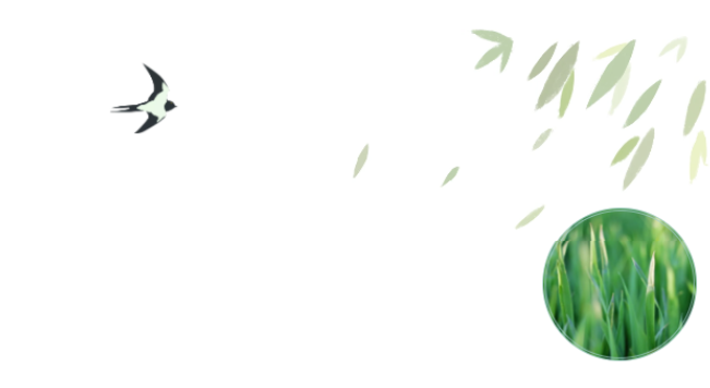 员工随笔丨抗“疫”过年，，，，，，，各人都还好吗？？？？？？？