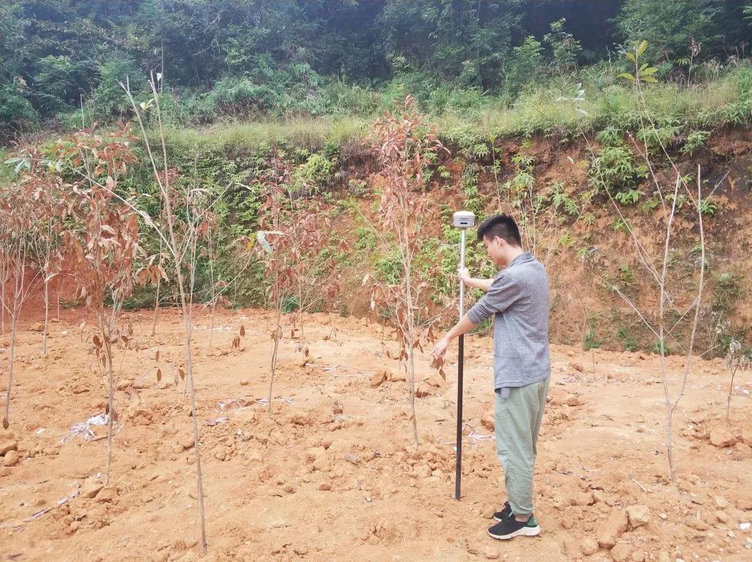 土地妄想部项目纪实丨必发人，，，，，，，，助力荒地变桑田！