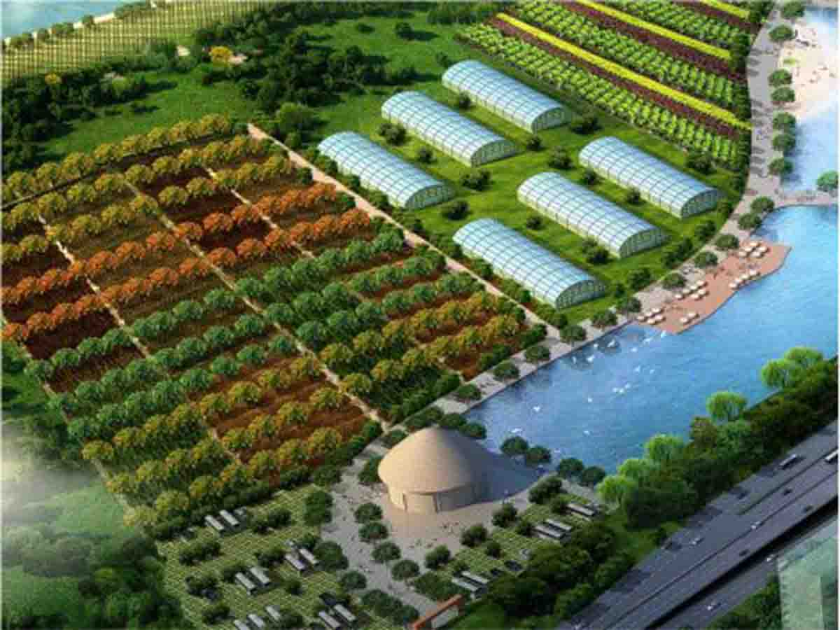 现代农业园建设效劳