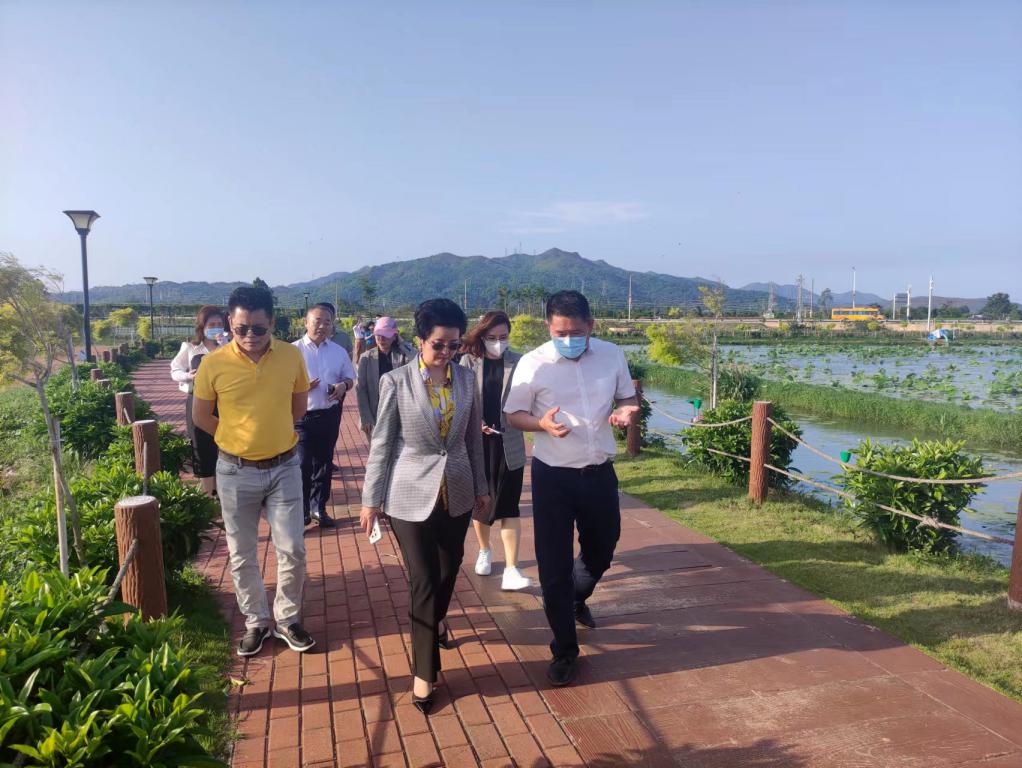 省生态修复协会轮值会长单位必发集团带队赴汕尾全域土地整治军民融合试点项目调研