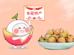 漫话必发丨一颗有“故事”的荔枝！