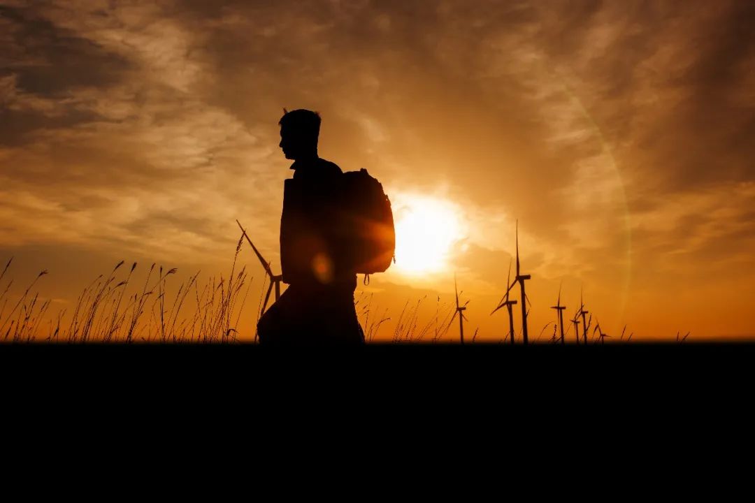 必发12周年征文丨一等奖《此心安处是吾乡》