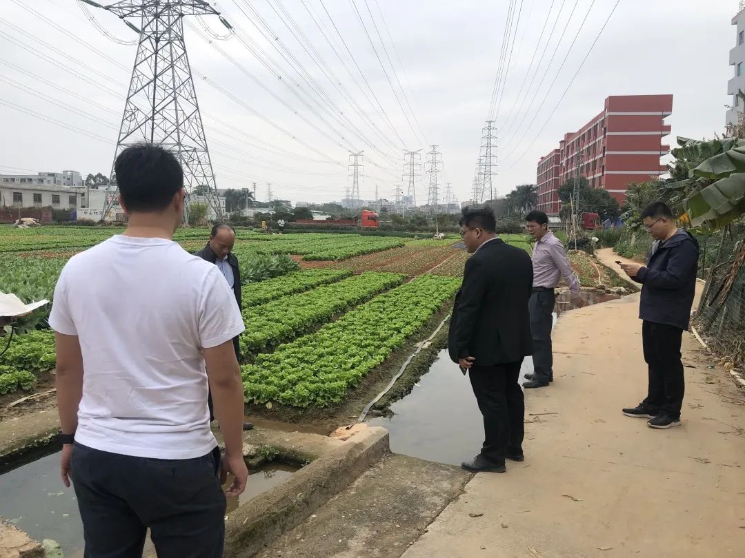 助力墟落振兴，，，，，，，，必发一直在起劲！