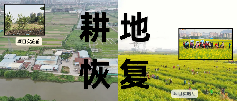 耕地保；；；；び刖蒙す踩凇甘泻窠终蛩谏缜读继锵钅扛鼗指从氤窍缛诤系牧⒁焓导