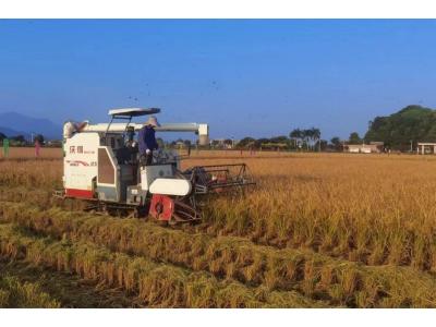 必发评估与妄想公司荣获“耕地；；；；；；；び乓煳朗康ノ弧保